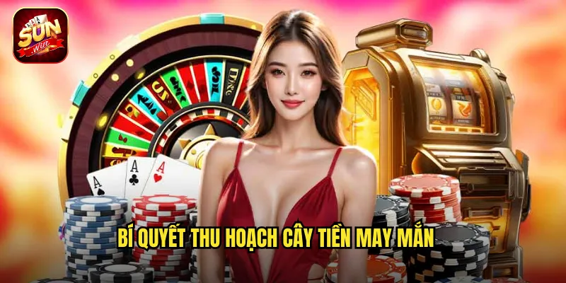 Cây Tiền May Mắn Sunwin BG - Trồng Cây Thu Hoạch Tài Lộc Dồi Dào 3 Bí Quyết Thu Hoạch Cây Tiền May Mắn